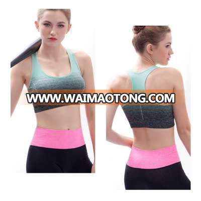 colorful sexy seamless design Sports bra active yoga bra fitness